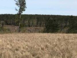  Terreno (Parcela) en venta en Los Lagos, Rio Negro, Osorno, Los Lagos