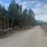  Terreno (Parcela) en venta en Llanquihue, Los Lagos, Puerto Montt, Llanquihue