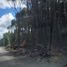  Terreno (Parcela) en venta en Llanquihue, Los Lagos, Puerto Montt, Llanquihue