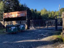  Terreno (Parcela) en venta en Llanquihue, Los Lagos, Puerto Montt, Llanquihue