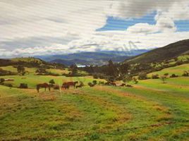 Studio Villa zu verkaufen in Sesquile, Cundinamarca, Sesquile