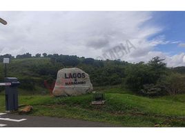  Land for sale in Palmira, Valle Del Cauca, Palmira