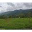  Land for sale in Palmira, Valle Del Cauca, Palmira