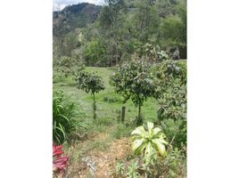  Terreno (Parcela) en venta en Simijaca, Cundinamarca, Simijaca