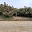  Land for sale in Viru, La Libertad, Viru, Viru