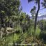  Land for sale in Neuquen, Los Lagos, Neuquen