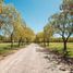  Land for sale in General Rodriguez, Buenos Aires, General Rodriguez