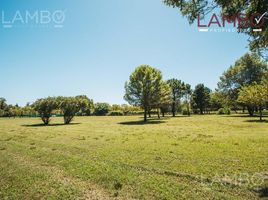  Land for sale in General Rodriguez, Buenos Aires, General Rodriguez