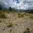  Terrain for sale in Lujan De Cuyo, Mendoza, Lujan De Cuyo