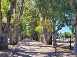  Terreno (Parcela) en venta en Campana, Buenos Aires, Campana