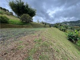  Terreno (Parcela) en venta en Penol, Antioquia, Penol