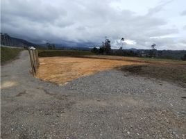  Land for sale in Guarne, Antioquia, Guarne