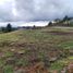  Land for sale in Guarne, Antioquia, Guarne