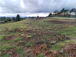  Land for sale in Guarne, Antioquia, Guarne
