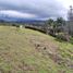  Land for sale in Guarne, Antioquia, Guarne