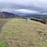  Land for sale in Guarne, Antioquia, Guarne