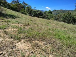  Terreno (Parcela) en venta en Barbosa, Antioquia, Barbosa