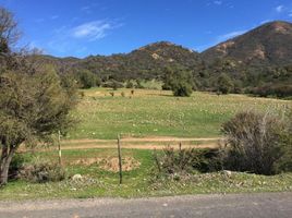 1 Bedroom Apartment for sale in Melipilla, Santiago, Curacavi, Melipilla