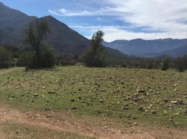  Land for sale in Melipilla, Santiago, Curacavi, Melipilla