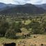  Land for sale in Melipilla, Santiago, Curacavi, Melipilla
