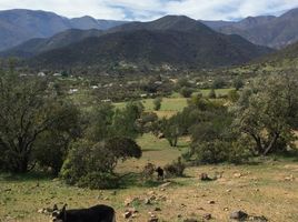 3 Bedroom House for sale in Melipilla, Santiago, Curacavi, Melipilla