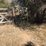  Terreno (Parcela) en venta en Cordillera, Santiago, Puente Alto, Cordillera