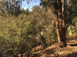  Terreno (Parcela) en venta en Cordillera, Santiago, Puente Alto, Cordillera