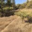  Terreno (Parcela) en venta en Cordillera, Santiago, Puente Alto, Cordillera
