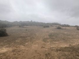  Terreno (Parcela) en venta en Cerro San Cristóbal, Santiago, Puente Alto, Cordillera
