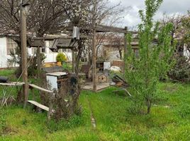 발파라 이소PropertyTypeNameBedroom, Quilpue, 발파라 이소, 발파라 이소