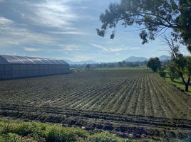  Terreno (Parcela) en venta en México, Acolman, México