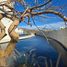 3 Bedroom Apartment for rent in La Paz, Baja California Sur, La Paz, Baja California Sur