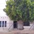 2,077 Sqft Office for sale in Cajeme, Sonora, Cajeme