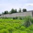  Land for sale in Lerma, Mexico, Lerma