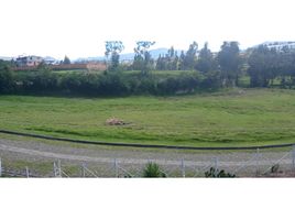  Land for sale in Alangasi, Quito, Alangasi