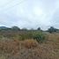  Land for sale in Montecristi, Manabi, Montecristi, Montecristi