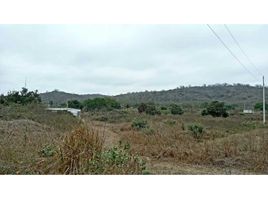  Terrain for sale in Montecristi, Manabi, Montecristi, Montecristi