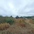  Land for sale in Montecristi, Manabi, Montecristi, Montecristi