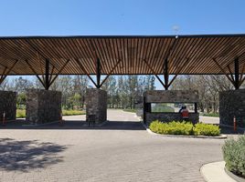  Terreno (Parcela) en venta en Huimilpan, Querétaro, Huimilpan