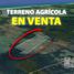  Land for sale in Champoton, Campeche, Champoton
