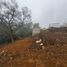  Land for sale in Tlalnelhuayocan, Veracruz, Tlalnelhuayocan