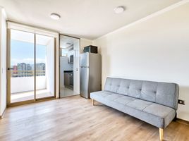 1 Bedroom Apartment for rent in Cordillera, Santiago, Puente Alto, Cordillera