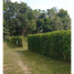  Land for sale in Villavicencio, Meta, Villavicencio, Meta
