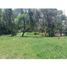  Land for sale in Moniquira, Boyaca, Moniquira