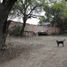  Terreno (Parcela) en alquiler en Queretaro, Querétaro, Queretaro, Querétaro