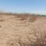  Terreno (Parcela) en venta en Aldama, Chihuahua, Aldama, Chihuahua