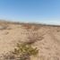  Terreno (Parcela) en venta en Aldama, Chihuahua, Aldama, Chihuahua