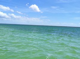  Terreno (Parcela) en venta en Othon P Blanco, Quintana Roo, Othon P Blanco