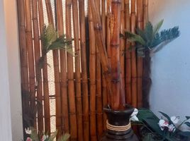 4 Schlafzimmer Haus zu verkaufen in Cuernavaca, Morelos, Cuernavaca