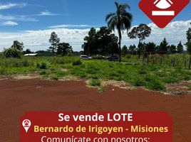  Land for sale in General Manuel Belgrano, Misiones, General Manuel Belgrano